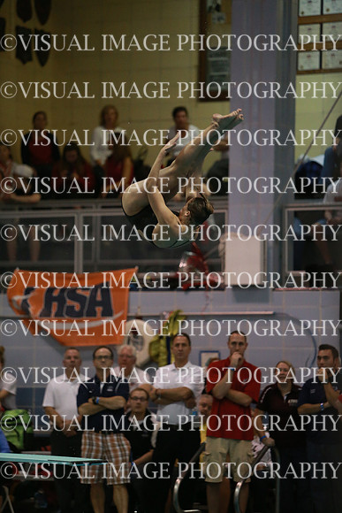 ILSWG13_DIVE_026