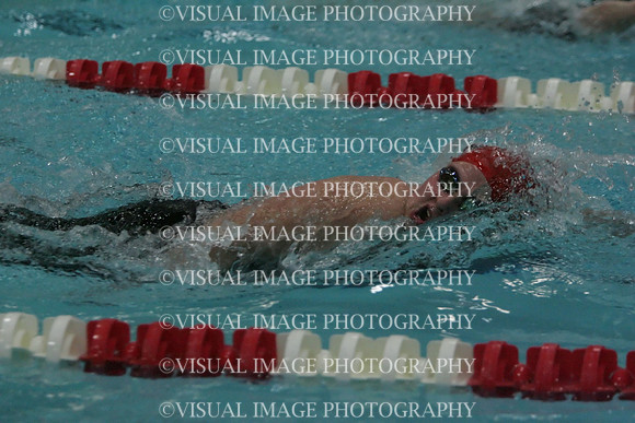 wiswg09_5free_2006