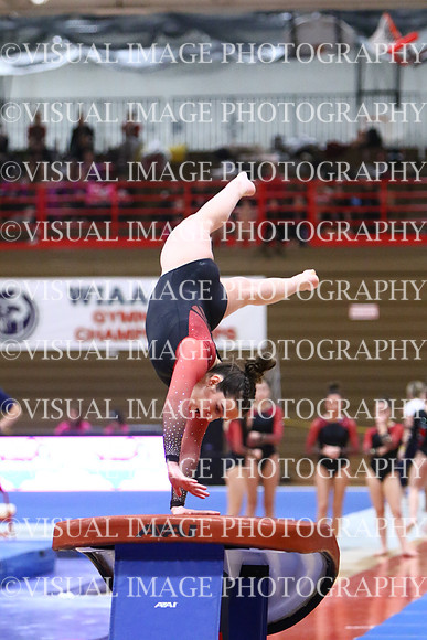 WIGYMG25_VAULT_T034