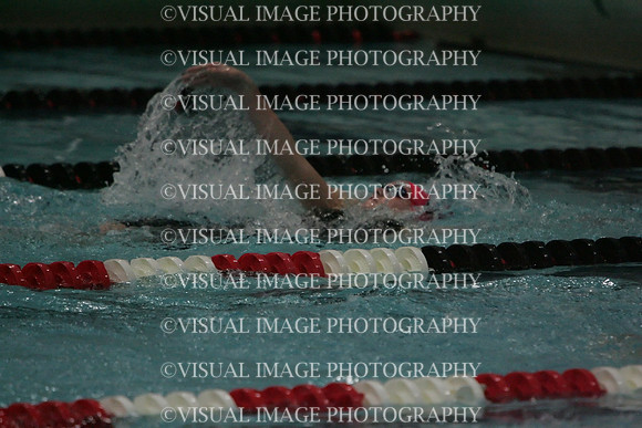 wiswg09_2imed_2037