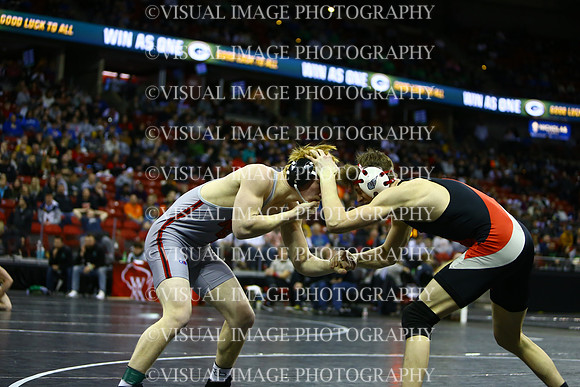 WIIWR25_165_C2012