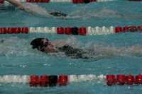 wiswg09_2imed_2013