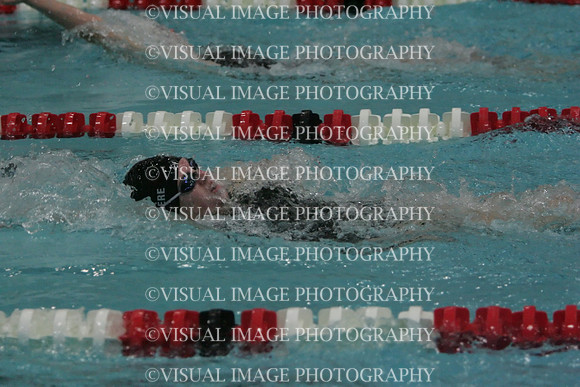 wiswg09_2imed_2013