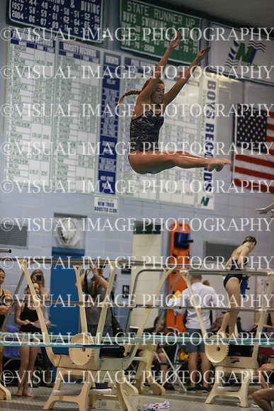 ILSWG13_DIVE_014