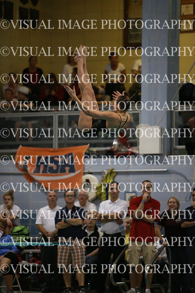 ILSWG13_DIVE_025