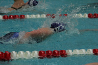 wiswg09_2free_2014