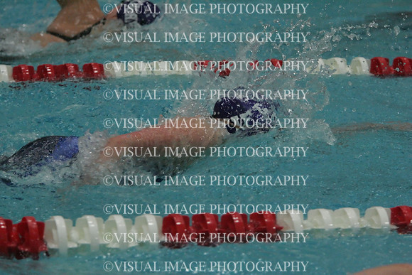 wiswg09_2free_2014