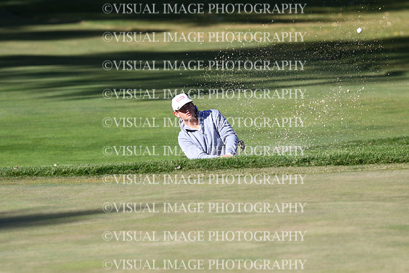 ILGF_24_T204029