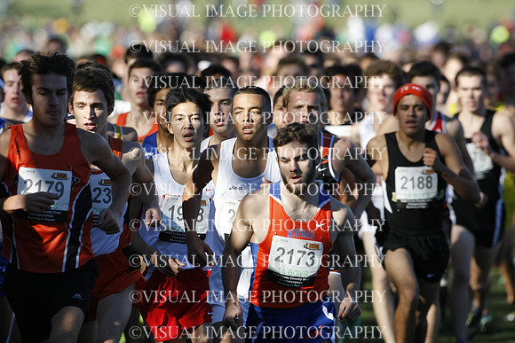 ILXC_13_30031
