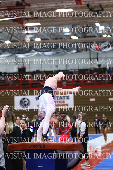 WIGYMG25_VAULT_I022