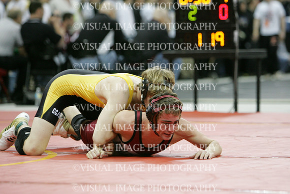 wiwr10_119_q2040