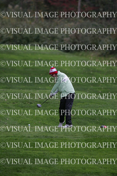 wigfg_09_t101003