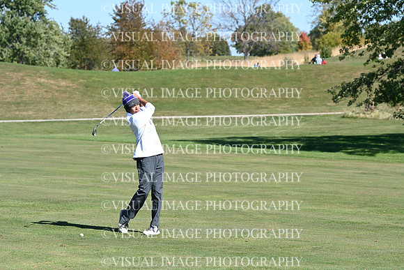 ILGF_24_T107008