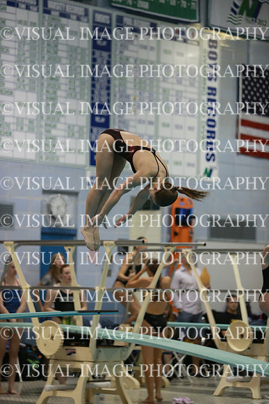 ILSWG13_DIVE_031