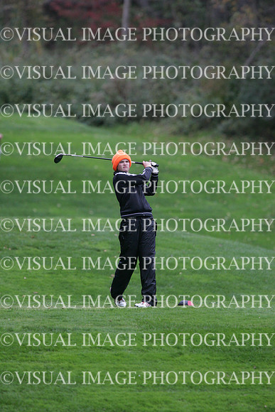 wigfg_09_t110011