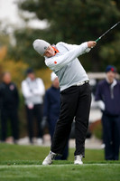 ILGF_13_T312007