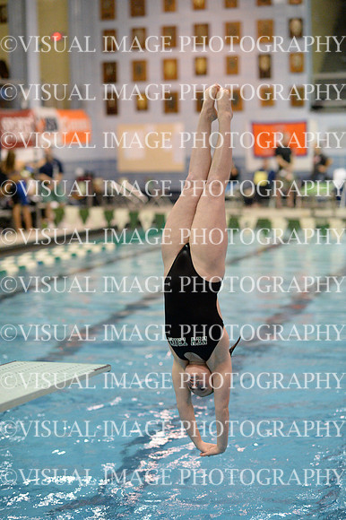 ILSWG13_DIVE_029