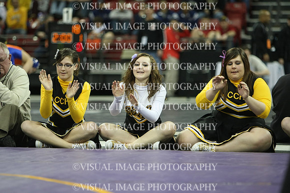 wiwr10_119_s2010