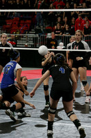 wisc_09_s41014