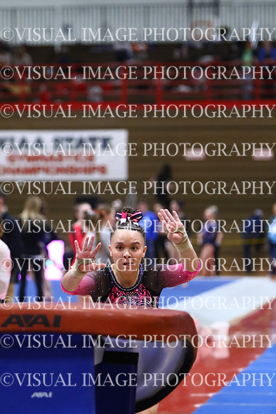 WIGYMG25_VAULT_I024