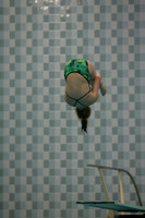 wiswg09_dive_2018