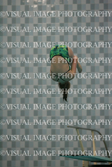 wiswg09_dive_2018