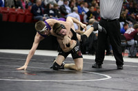 wiwr10_130_c2014