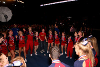 ILCHEER_17_CA005