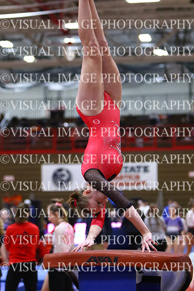 WIGYMG25_VAULT_I009