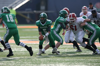 ILFB_14_10013