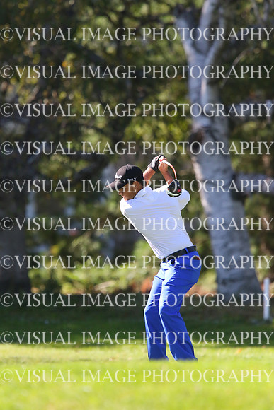 ILGF16_IND_20003