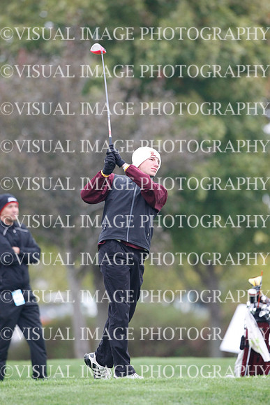 ILGF_13_IND30040