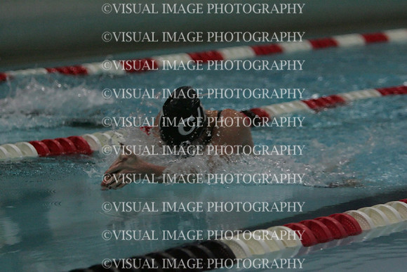 wiswg09_1breast_2042