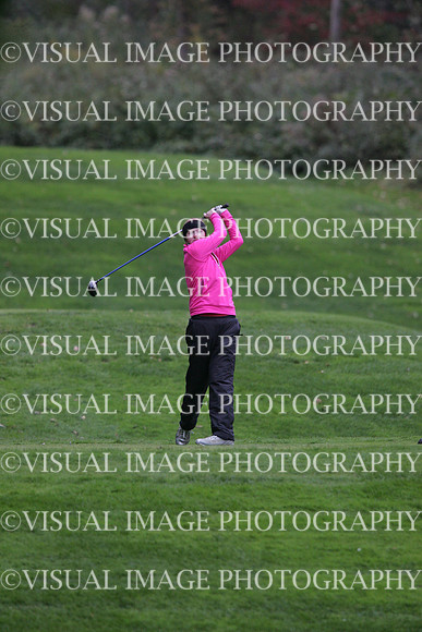 wigfg_09_t101033
