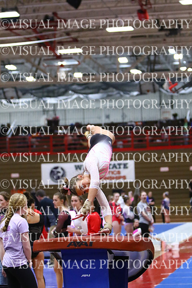 WIGYMG25_VAULT_I029