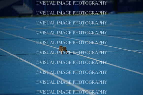 ILTKG25_SQUIRREL_39