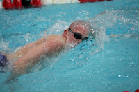 wisw10_2free_2009