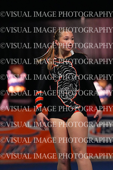 ILCHEER_25_S090032