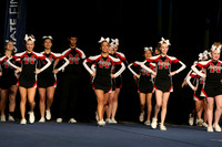 ILCHEER_11_C15004