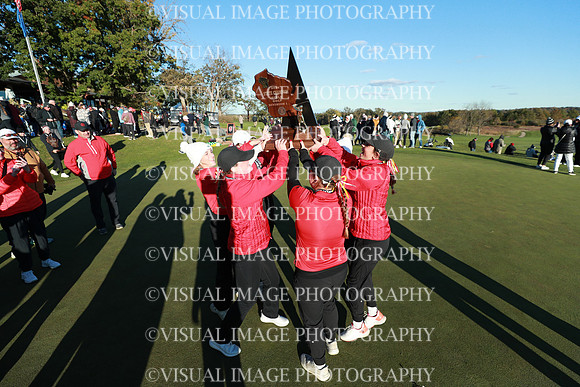 WIGFG_24_A1031