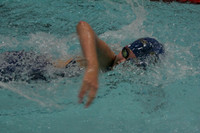wiswg09_2free_2013