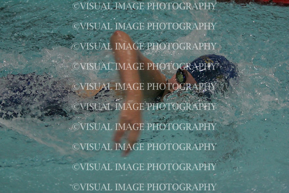 wiswg09_2free_2013