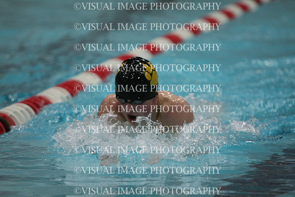 wisw10_2imed_1022