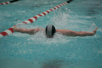 100 butterfly