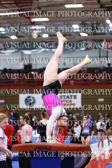 WIGYMG25_VAULT_I012