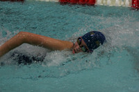 wiswg09_2free_2012