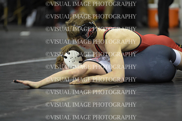 WIIWR25_106_11037