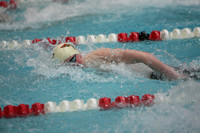 wisw10_1free_2011