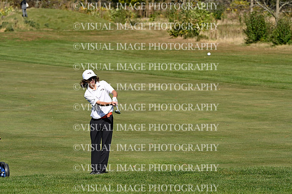 ILGF_24_T101024