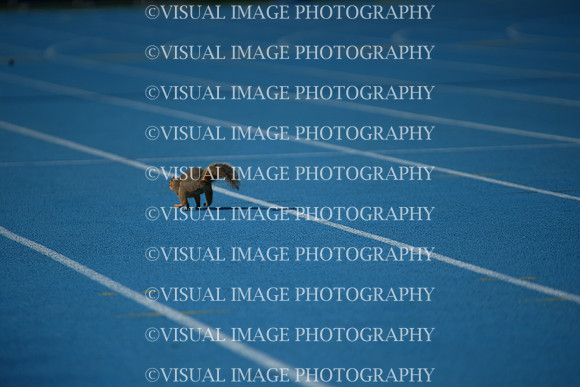 ILTKG25_SQUIRREL_26